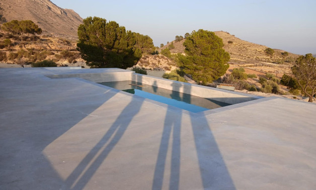 Obra nueva - Villa -
Pinoso - Casas Pastor