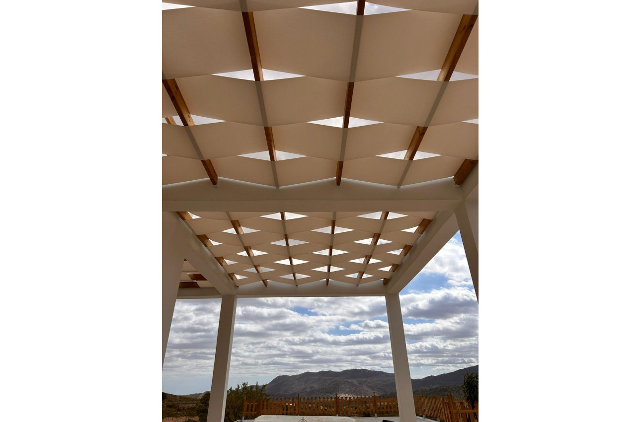 Obra nueva - Villa -
Pinoso - Casas Pastor