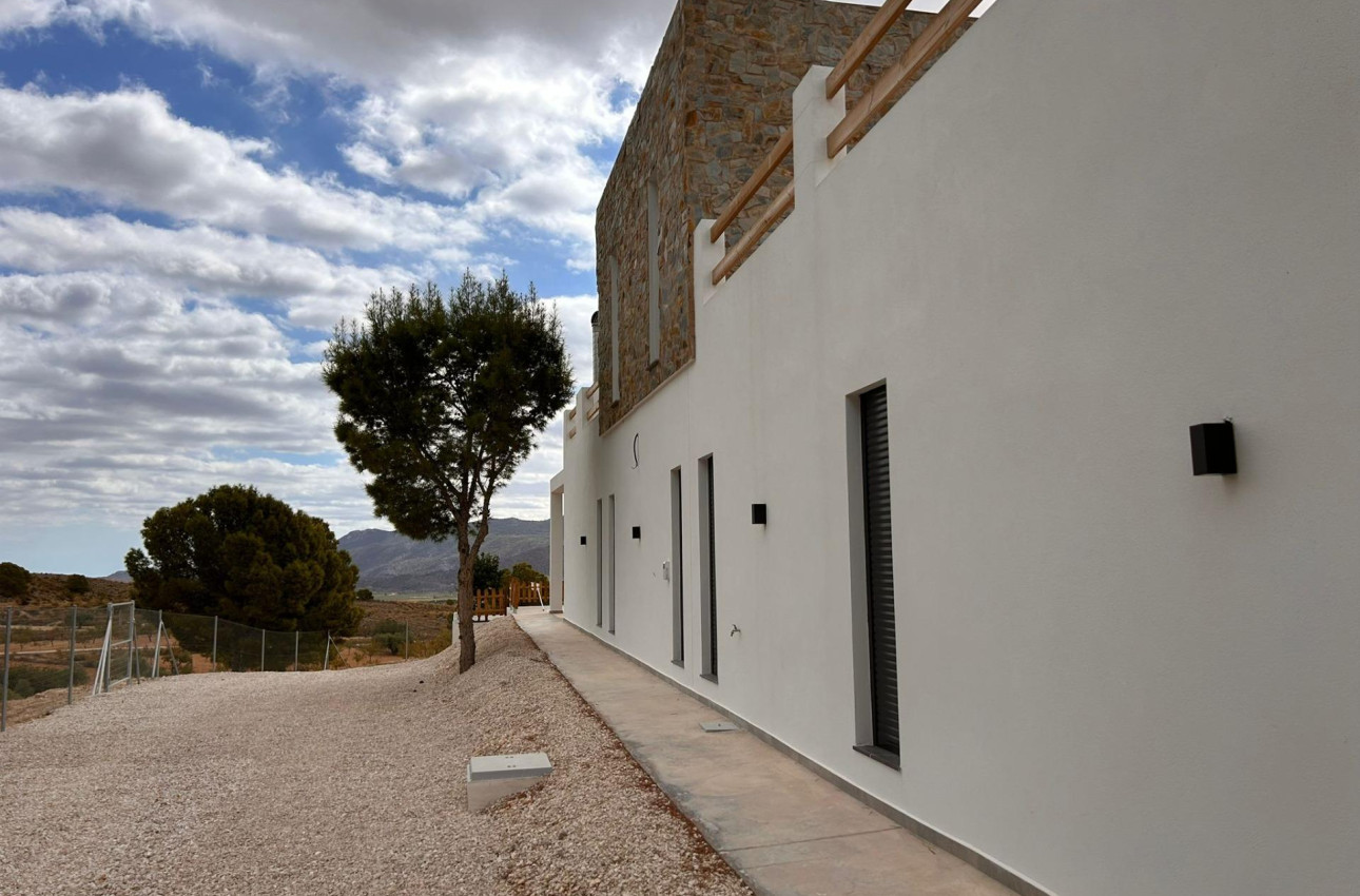 Obra nueva - Villa -
Pinoso - Casas Pastor