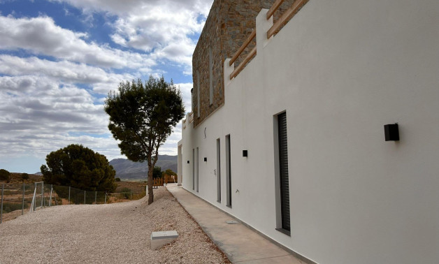 Obra nueva - Villa -
Pinoso - Casas Pastor