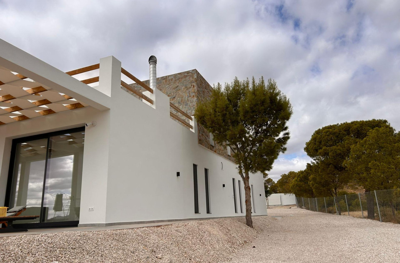 Obra nueva - Villa -
Pinoso - Casas Pastor