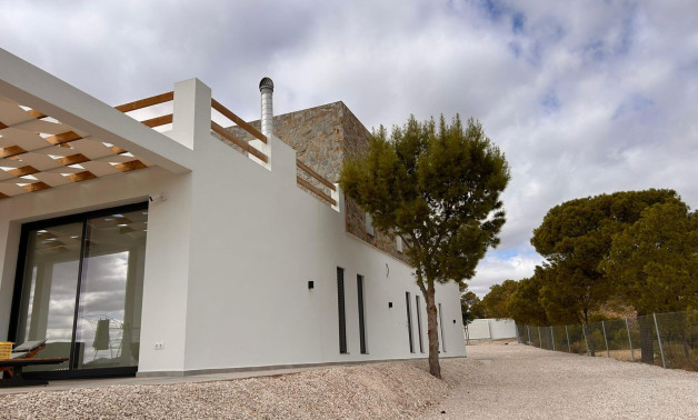Obra nueva - Villa -
Pinoso - Casas Pastor