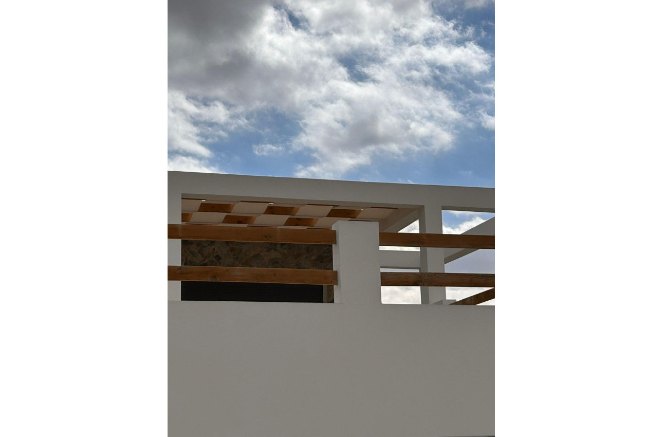 Obra nueva - Villa -
Pinoso - Casas Pastor