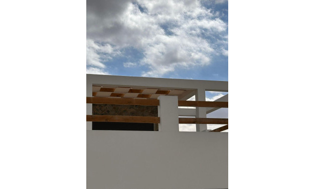 Obra nueva - Villa -
Pinoso - Casas Pastor