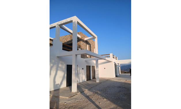 Obra nueva - Villa -
Pinoso - Casas Pastor