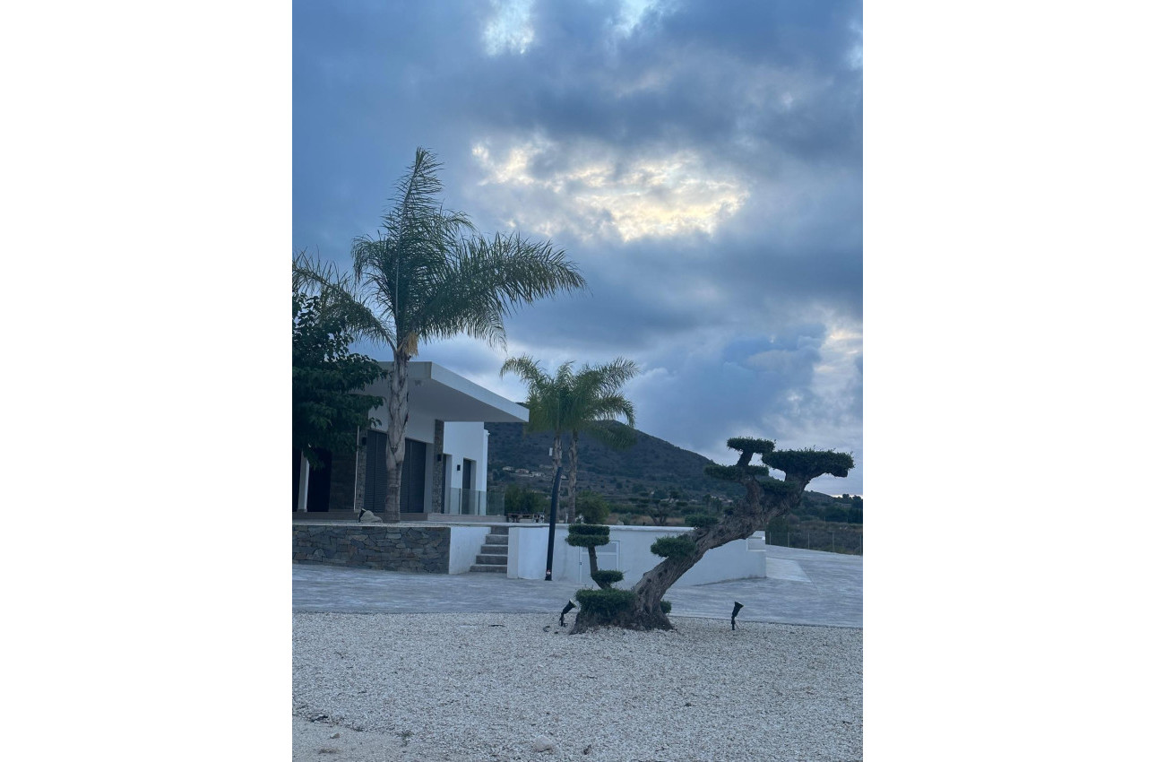 New Build - Villa -
Pinoso - Casas Pastor