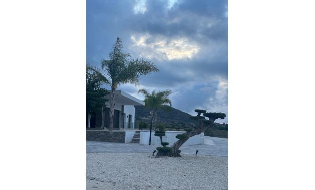 New Build - Villa -
Pinoso - Casas Pastor