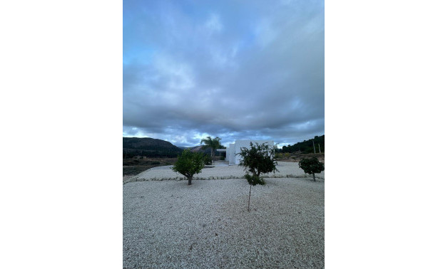 New Build - Villa -
Pinoso - Casas Pastor