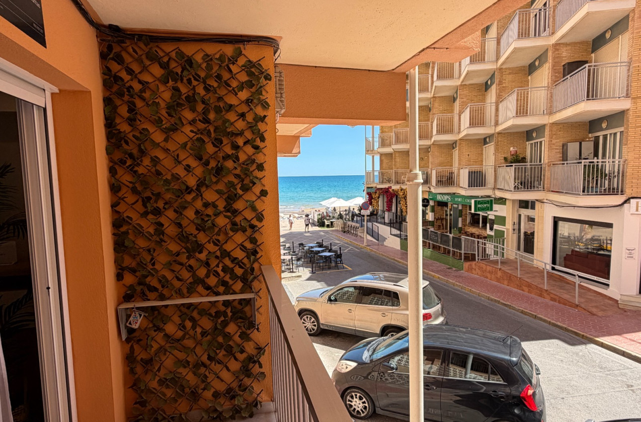 Reventa - Apartamentos -
Guardamar del Segura - Pueblo
