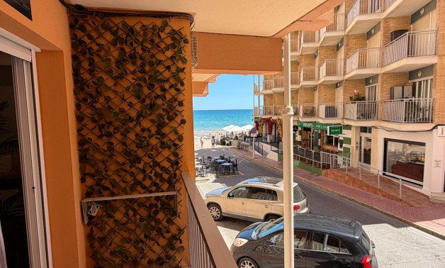 Reventa - Apartamentos -
Guardamar del Segura - Pueblo