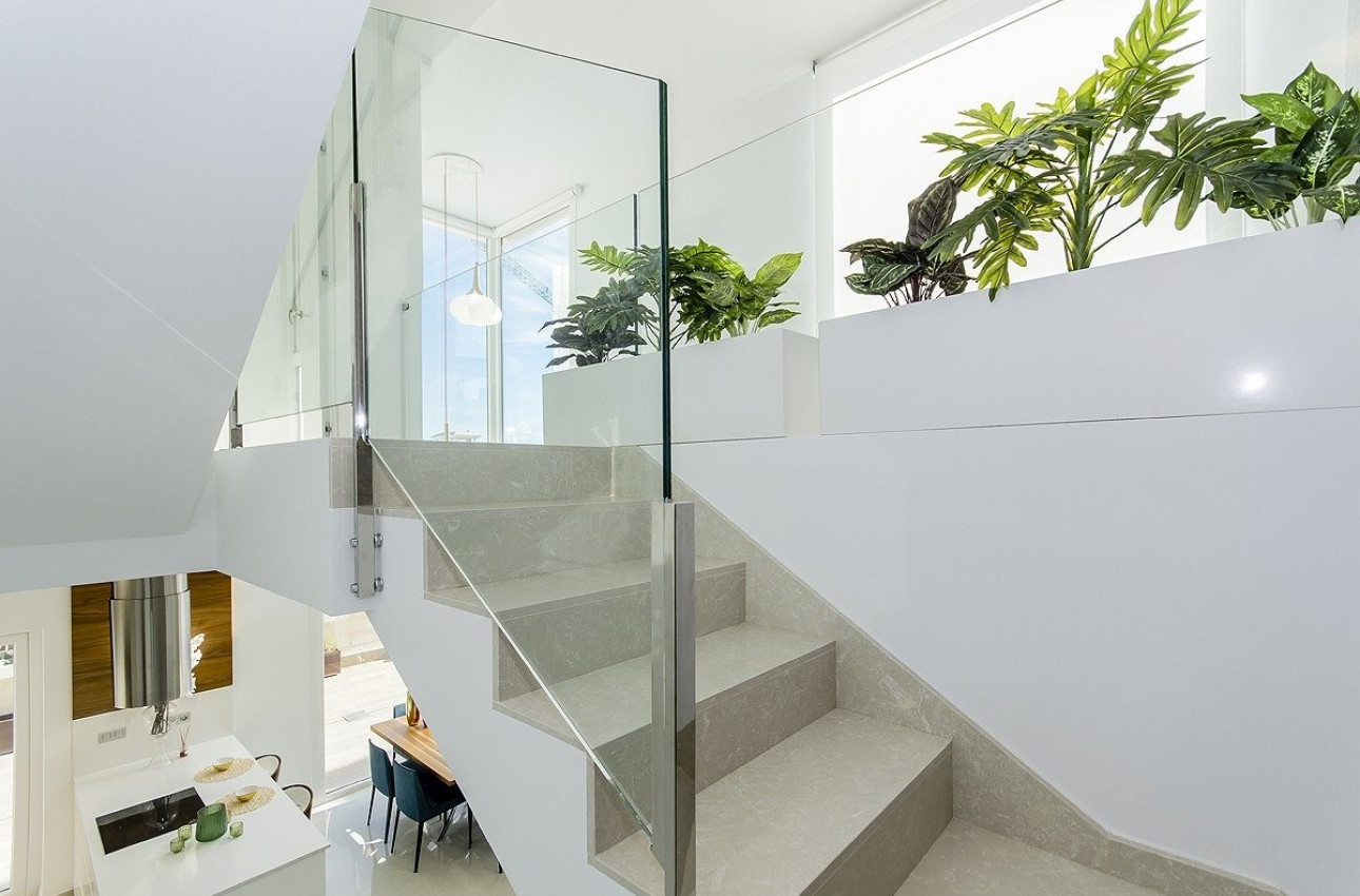 Obra nueva - Villa -
Los Montesinos - La Herrada