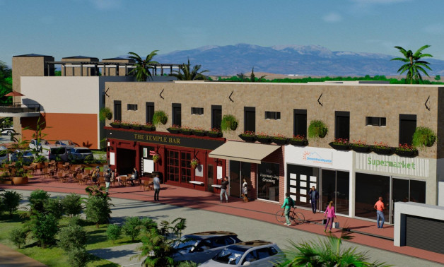 Obra nueva - Villa -
Fuente Álamo - La Pinilla