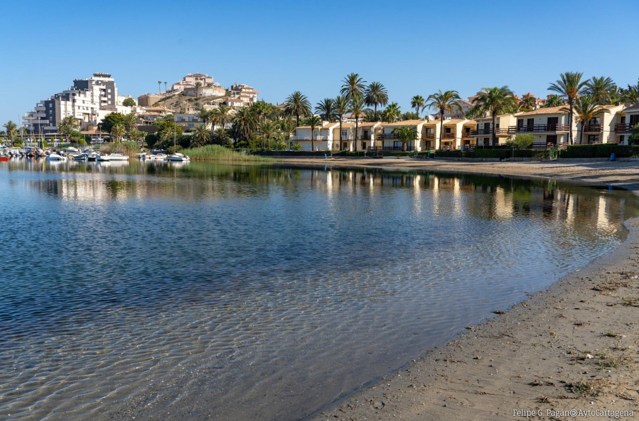 New Build - Bungalow -
La Manga Club