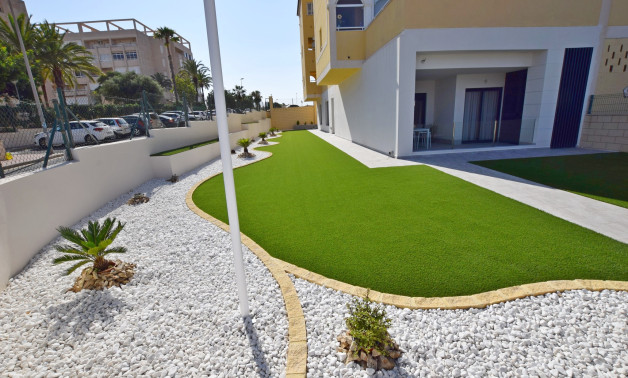 Obra nueva - Ground floors -
Torrevieja