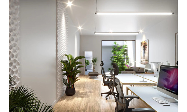 Obra nueva - Bajos -
San Juan de Alicante - 03550