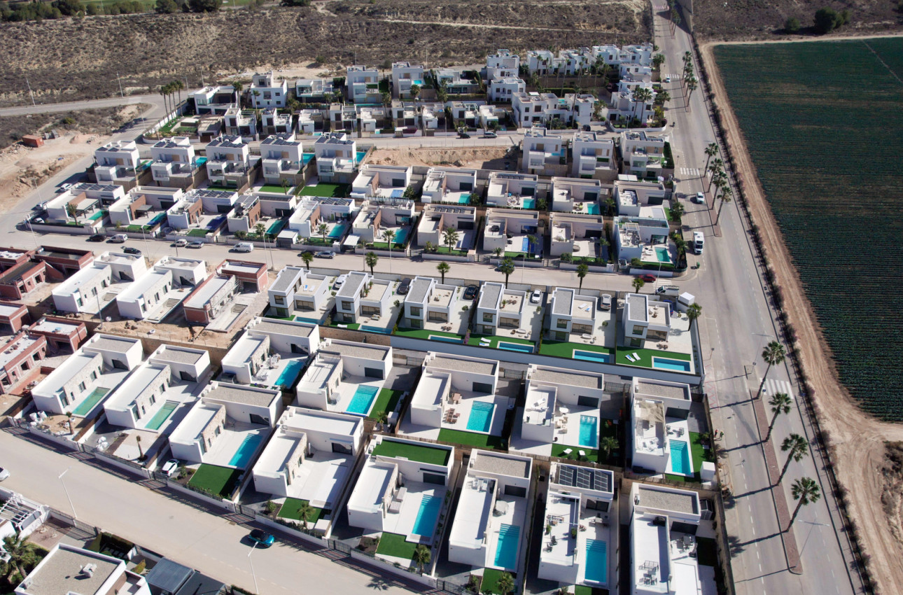 Obra nueva - Villas -
Algorfa